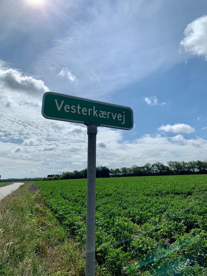 Farm stay Hennebjerg *